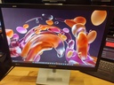 24" Samsung Monitor S24E450